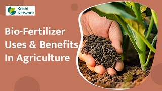 What are BioFertilizer and Its Uses  Organic Farming  Krishi Network [upl. by Lonee]