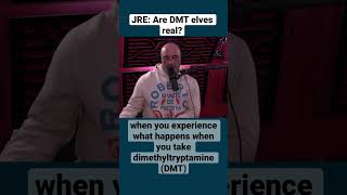 Joe Rogan on DMT elves [upl. by Ecniv103]