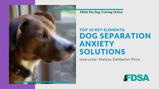 PDT Malena DeMartini Price Dog Separation Anxiety Solutions Top 10 Key Elements [upl. by Ignazio]