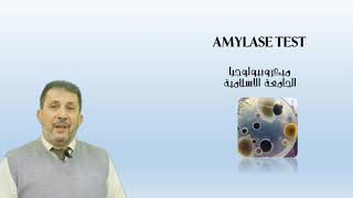 Amylase [upl. by Berg]