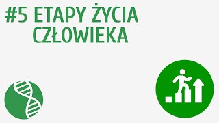 Etapy życia człowieka 5  Rozmnażanie i rozwój [upl. by Aihseyn]