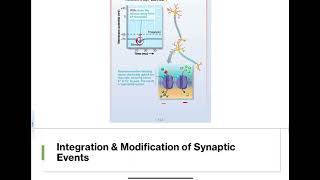 118  Postsynaptic Potentials [upl. by Coop265]