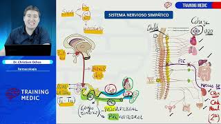 21 Agonistas Y Antagonistas Adrenérgicos Farmacología [upl. by Ordway627]