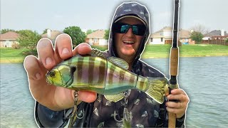 Jackall Gantarel Swimbait First Impressions and Bass Fishing  COMMITTED [upl. by Wettam]