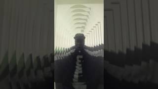 Seattle Seahawks Legion of Boom  Song by Golden Boy Fospassin [upl. by Schlenger959]