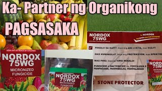 Nordox 75WG Micronized Fungicide  Ka Partner ng Organikong Pagsasaka [upl. by Chainey]