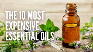 Top 10 Most Expensive Essential Oils in the World [upl. by Nelac155]