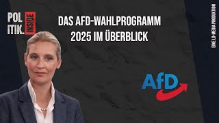 Bundestagswahl 2025 Das AfD Wahlprogramm afd Bundestagswahl2025 aktuell deutschland [upl. by Aileek]