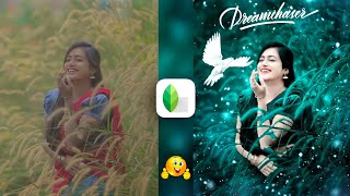 Snapseed Green And Bird Effect Photo Editing Tutorial  Snapseed Background Colour Change Tricks [upl. by Onaivlis256]