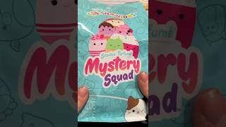 New Mystery Squad Squishmallow Unboxing asmr notalkingasmr unboxing squishmallows blindbag [upl. by Enyamert]