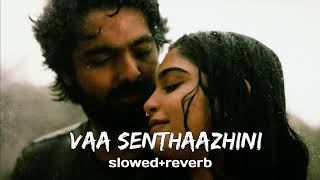 Vaa Vaathi Lyrical Song  Vaathi Songs  Dhanush Samyuktha  GV Prakash Kumar  Venky Atluri [upl. by Ceciley]