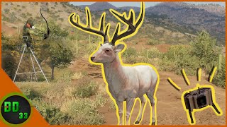 Calling In Our Biggest RARE Albino Whitetail Call Of The Wild [upl. by Litnahs]