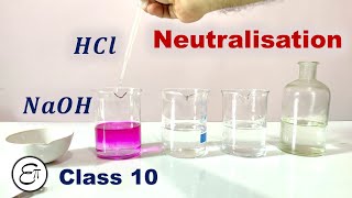 Neutralisation Reaction [upl. by Muncey959]