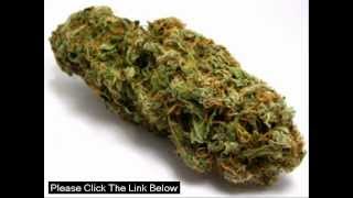 Which Is The Best Herbal Potpourri Smoke And Where To Get It Online [upl. by Eusadnilem982]