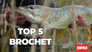 Quels Rapala pour pêcher le brochet [upl. by Malcolm774]