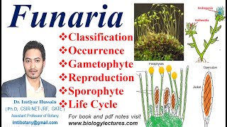 Funaria Life Cycle Gametophyte Sexual reproduction Fertilization funaria bryophytes bscbotany [upl. by Amjan925]