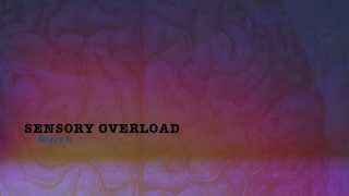 Baiyu  SENSORY OVERLOAD 2013 New Song [upl. by Tj]