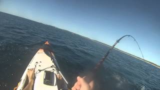 Kayak Fishing Fraser Island [upl. by Llednyl]