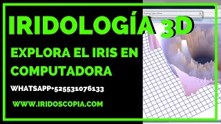 🔥🎓 IRIDOLOGIA PARA PRINCIPIANTES 2024  APRENDE A LEER EL IRIS CON PROGRAMAS COMPUTARIZADOS [upl. by Archangel]