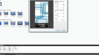 MicroImage Capture Tutorial  Add Brightness to Snagit image or print [upl. by Anilac665]