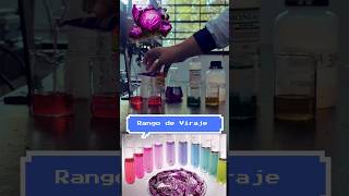 Indicador de pH con agua y repollo morado FACIL química [upl. by Dnamron]