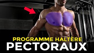 PROGRAMME POUR TRAVAILLER SES PECTORAUX AVEC HALTÈRES [upl. by Enutrof]