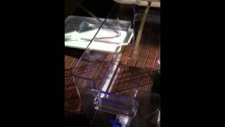 DIY water ionizer [upl. by Nomelc]