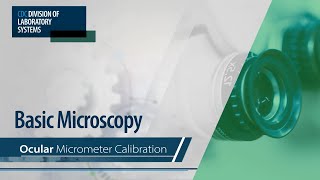 Basic Microscopy – Ocular Micrometer Calibration [upl. by Aicile]