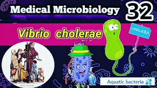 شرح تشخيص وأعراض بكتيريا الكوليرا vibrio cholerae [upl. by Airebma]