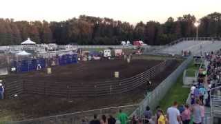 Bull Gets Loose From Rodeo Event at Dakota County Fair Farmington Minnesota [upl. by Jamnes]