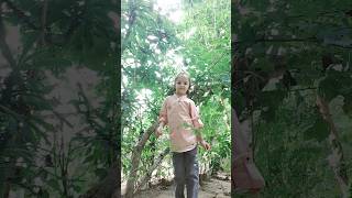 hit songmanya bauvillage scene youtubeshorts [upl. by Jaycee701]