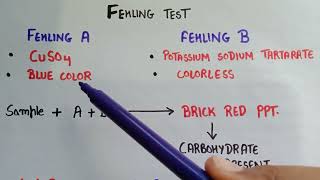 Fehlings test for carbohydrates  fehling solution A and B  test for carbohydrates  fehlings test [upl. by Clift412]