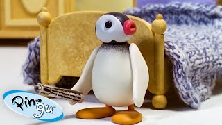 All About Pinga 🐧  Pingu  Official Channel  Cartoons For Kids [upl. by Aetnahc]