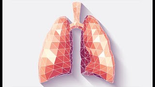 Physiology  Respiration  lecture 9  Chemical amp Nervous regulation of Respiration  2732018 [upl. by Goodson356]