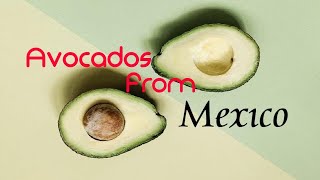 Avocados from Mexico meme [upl. by Howlyn39]