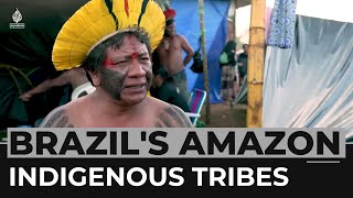 Brazils Indigenous tribes unite to protect the Amazon [upl. by Huai558]