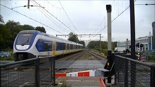 Spoorwegovergang DriebergenZeist  Dutch railroad crossing [upl. by Karolina]