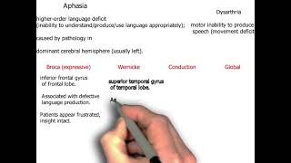 Aphasia and its types neurology 86  First Aid USMLE Step 1 in UrduHindi [upl. by Jean-Claude]