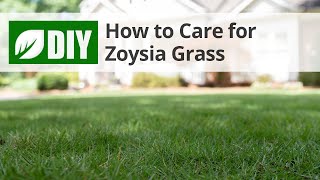 How to Care for Zoysia Grass  DoMyOwncom [upl. by Rodl]