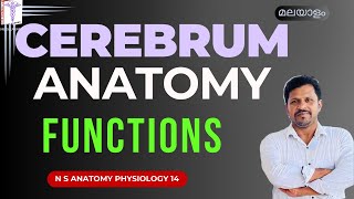 Cerebrum Malayalam Cerebrum Anatomy Malayalam Lobes Functional Areas of Brain White Matter Malayalam [upl. by Katharina448]