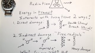 Two Ways Ionizing Radiation Damages DNA  One Minute Medical School [upl. by Williams729]