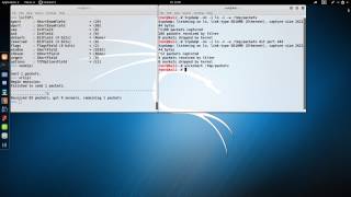 Introduction to Crafting Network Packets with Scapy [upl. by Neehsas113]