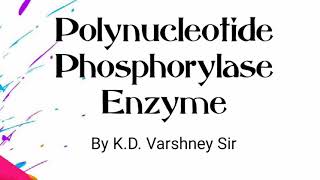 Polynucleotide Phosphorylase enzyme [upl. by Einaj]