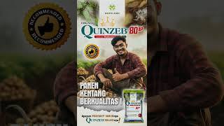 maxxiagri  story QUINZEB 80WP PANEN kentang BERKUALITAS fungisidaampuh shorts [upl. by Leikeze]