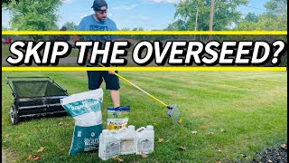 Fall Lawn Renovation Steps  Why I chose to skip overseeding [upl. by Nohsram]