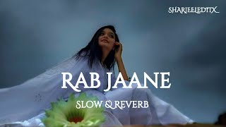 Rab Jaane  Slow amp Reverb  Shafaullah Rokhri Production  sharjeeleditxsaraikishafaullahrokhri [upl. by Nasia952]