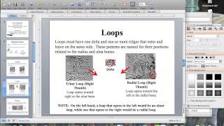 Forensics Fingerprinting Notes [upl. by Dranreb]