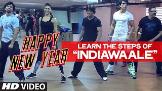 OFFICIAL Learn India Waale DANCE STEPS with Shahrukh Khan  Happy New Year [upl. by Nirat]