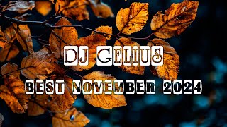 DJ GELIUS  Best November 2024 [upl. by Quenna]