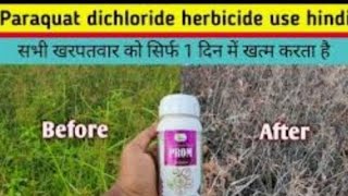 paraquat dichloride herbicide use [upl. by Ahsikin414]